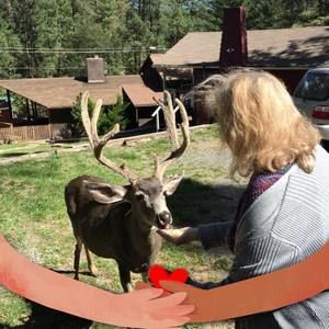 Meet your Posher, Judy